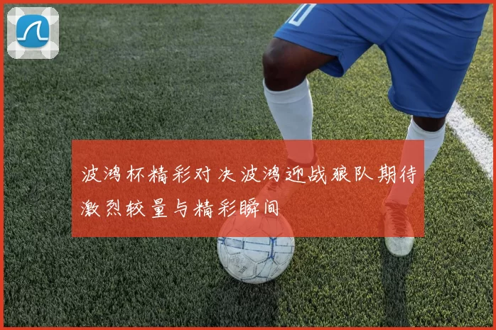 波鸿杯精彩对决波鸿迎战狼队期待激烈较量与精彩瞬间