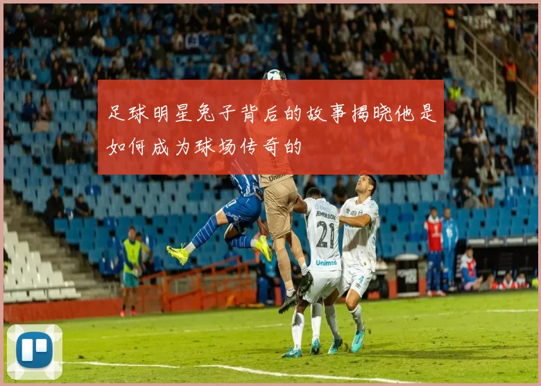 足球明星兔子背后的故事揭晓他是如何成为球场传奇的
