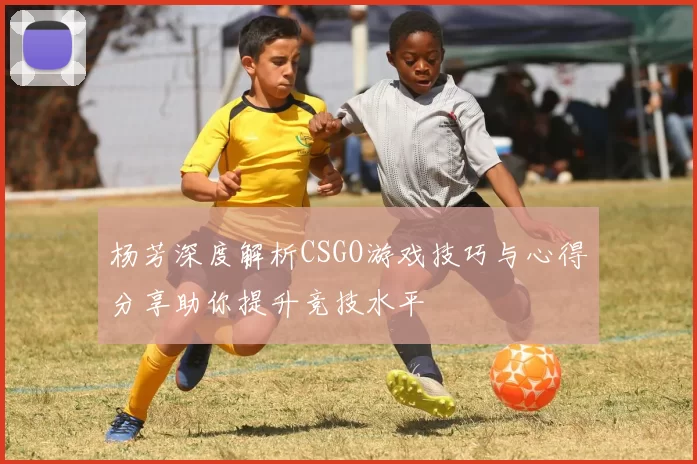 杨芳深度解析CSGO游戏技巧与心得分享助你提升竞技水平