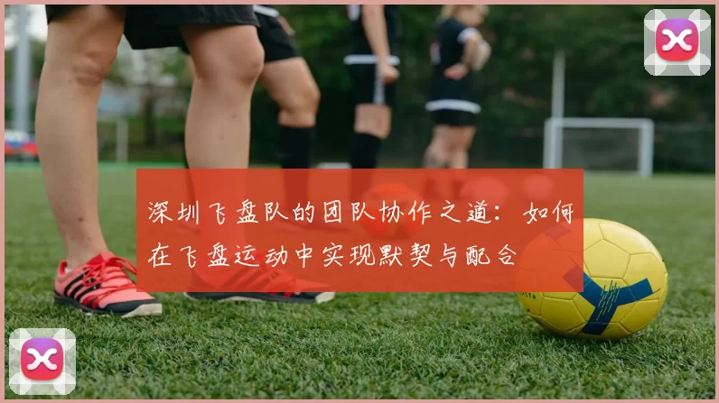 深圳飞盘队的团队协作之道：如何在飞盘运动中实现默契与配合