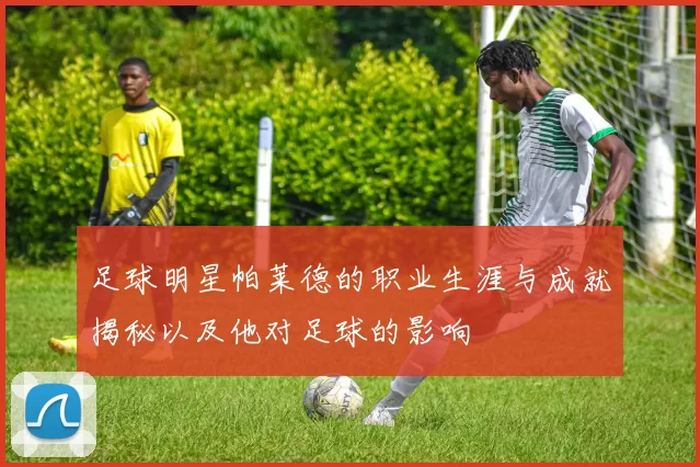 足球明星帕莱德的职业生涯与成就揭秘以及他对足球的影响