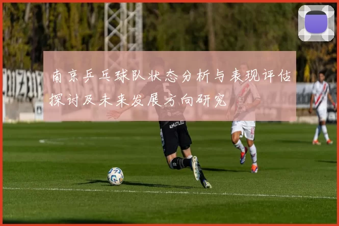 南京乒乓球队状态分析与表现评估探讨及未来发展方向研究