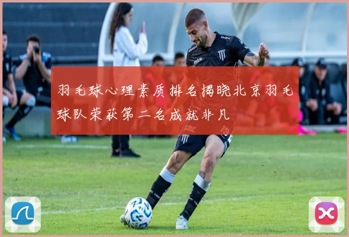 羽毛球心理素质排名揭晓北京羽毛球队荣获第二名成就非凡