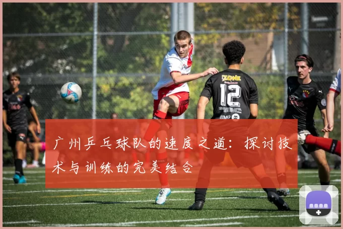 广州乒乓球队的速度之道：探讨技术与训练的完美结合