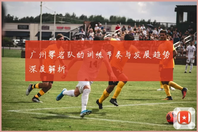 广州攀岩队的训练节奏与发展趋势深度解析