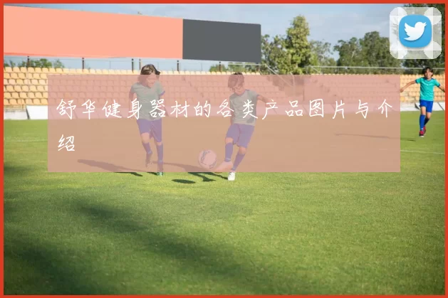 舒华健身器材的各类产品图片与介绍